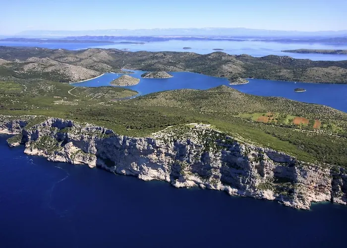 House * ביבינייה